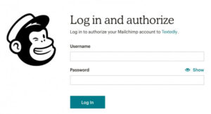 Read more about the article Mailchimp SMS Marketing Tools – Unified Email & Text Campaigns for Small Business