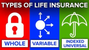 Read more about the article What Is Term vs. Whole Life Insurance – Types of Life Insurance