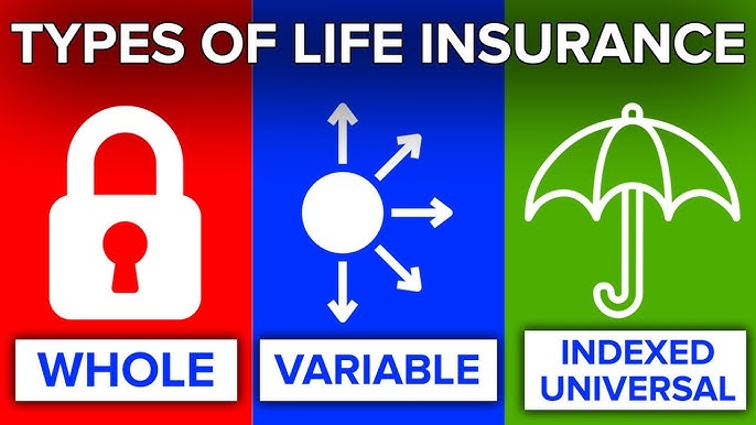 You are currently viewing What Is Term vs. Whole Life Insurance – Types of Life Insurance