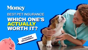 Read more about the article 8 Best Pet Insurance Companies